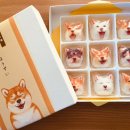 시바(SHIBA)