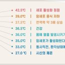 카페36.5℃ - 107159 | 카페36.5℃