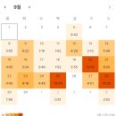 이다원 | 약 반년 전의 기억