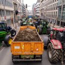 박용주농장 이미지