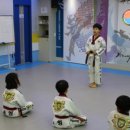 튼튼한 용인대 태권도장 이미지