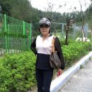 가조초등학교 이미지