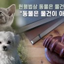 소망행정사무소 이미지