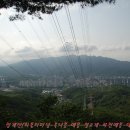 청계산식물원 이미지