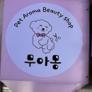 무아몽 해운대 강아지 애견미용 이미지