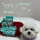 쮸쮸멍 네이버블로그