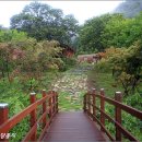 화천목재문화체험장 이미지