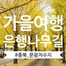 대사리만두집 이미지
