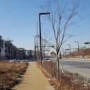 투썸플레이스동탄신리점