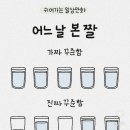 (주)소프트맥스 | SK네트웍스Family ai캠프20기 9주차 회고