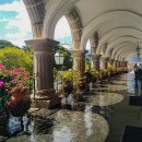 비야농장 이미지