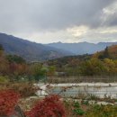 구적골농원 네이버블로그
