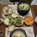 진전복삼계탕신사 | 강남 신사동 맛집 압구정역 보양식 진전복삼계탕 신사점