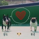 꽁쓰 이미지