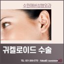 수원에버성형외과의원 네이버블로그
