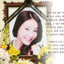 은사장 이미지