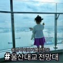 울산대교전망대화장실 | 울산대교 전망대 울산 아이와 잠시 가볼만한곳으로 추천해 볼 만함