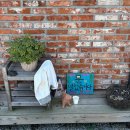 서쪽공방 이미지