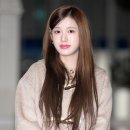 재이