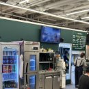 도니조아 이미지