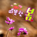 간추린 뉴스 이미지