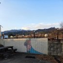 바람꽃 | [속초식당] 내돈내산 속초해녀마을바람꽃해녀마을 솔직후기