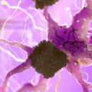 상동서울한방병원 이미지