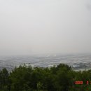 김해"신어산" 이미지