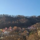 원스테이 이미지