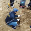 남악1로 이미지