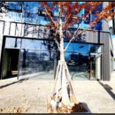 중리네거리 이미지