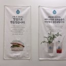 샐디치 이미지