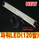 파워LED(120발) 이미지