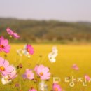 대덕2통 이미지