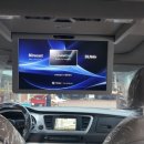 동양카마스타 이미지