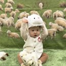 풍산목장 이미지