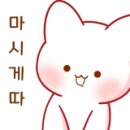동해안곰치식당