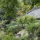 지에스 25 교동하슬라 | 전주 당일치기 여행