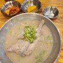정관맛집 ] 닭반마리 들어간 자가제면 / 언양 닭칼국수 후기