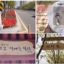 박지성로(지성쉼터) 이미지
