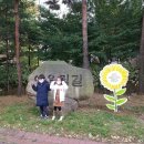 신월4동주민센터 이미지