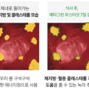 메타그린