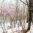 꽃편지길 이미지