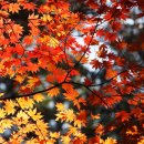 인제 관광안내소 이미지