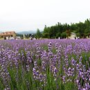 하늬농장 이미지