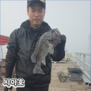 병기호좌대낚시터 | 혼자서도 편하게 즐길 수 있는 시아호좌대 낚시 당진 쭈갑낚시터