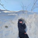 흥일목장 이미지