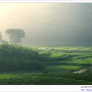 철마중리마을 이미지