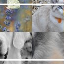 유화 B반 이미지