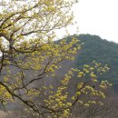 산동면사무소 이미지